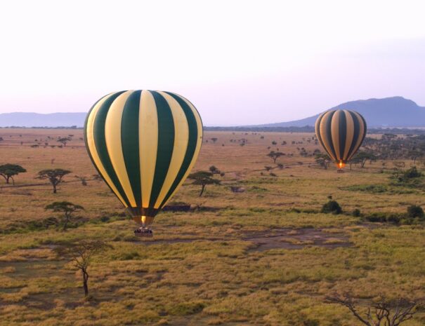 Ballon safari