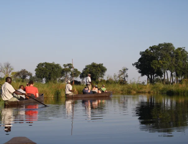 boat safaris
